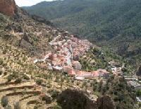 Las mejores ofertas de Honda Ayna 