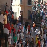 Las mejores ofertas de Moreno Elche De La Sierra 