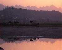 Las mejores ofertas de Posada Mellante PECHON