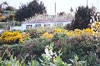 Las mejores ofertas de El Topo Villa de Garafía