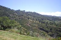 Las mejores ofertas de La Herbilla Villa de Garafía