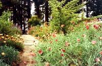 Las mejores ofertas de La Podona Villa de Garafía