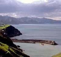 Las mejores ofertas de Agote Aundi Getaria 