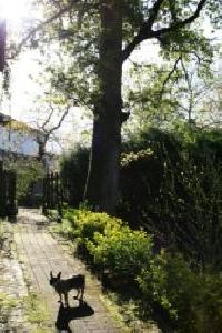 Las mejores ofertas de Amalau ZEANURI