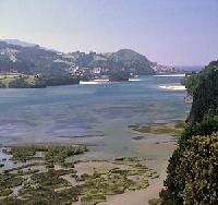 Las mejores ofertas de Ozollo Gautegiz Arteaga 