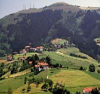 Las mejores ofertas de Tolare  Berri Zestoa 