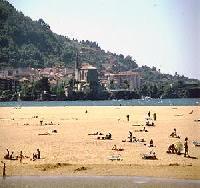 Las mejores ofertas de Txopebenta Gautegiz Arteaga 