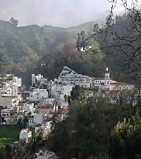 Las mejores ofertas de El Drago Moreto Moya