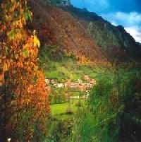 Las mejores ofertas de Albergue de Saliencia Saliencia