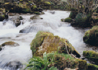 Las mejores ofertas de Apartamentos Casa Marcelo Veigas