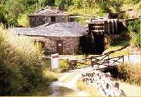 Las mejores ofertas de Freixe I Santa Eulalia De Oscos