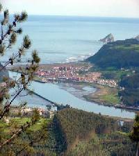 Las mejores ofertas de La Sienrina de Irene Soto Del Barco