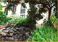 Las mejores ofertas de Los Aromos Hermigua 