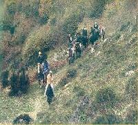 Las mejores ofertas de Rutas a Caballo Cobrana VALLE DE LAGO