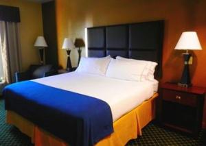 Las mejores ofertas de HOLIDAY INN EXPRESS & SUITES H Hinesville