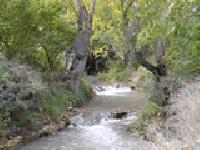 Las mejores ofertas de Casa Manubles Bijuesca 