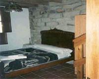 Las mejores ofertas de Tronco Oles