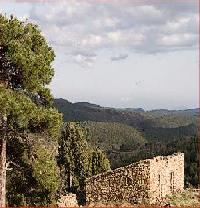 Las mejores ofertas de Casa Carmen El Castellar