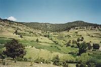 Las mejores ofertas de Casa María Guadalaviar