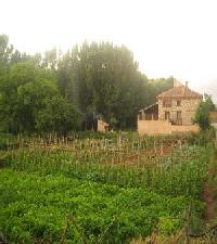 Las mejores ofertas de El Regajo Orrios