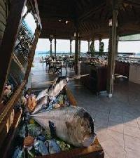 Las mejores ofertas de Paloma Beach Resort Side