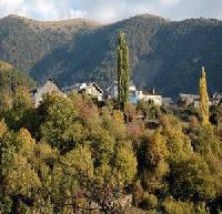 Las mejores ofertas de Casa Casasíšs Yésero