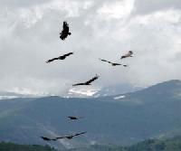 Las mejores ofertas de Casa Morillo Laspuña