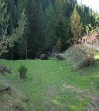 Las mejores ofertas de Casa Mur  C Foradada De Toscar