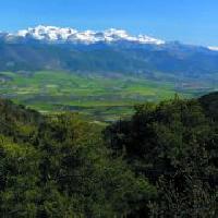 Las mejores ofertas de Casa Vives Larues