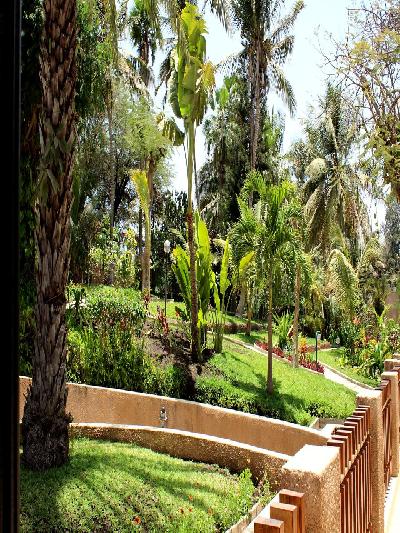 Las mejores ofertas de Jardin Savana Dakar Dakar 