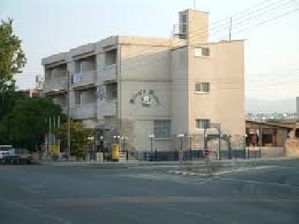 Las mejores ofertas de King Paphos