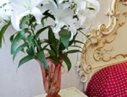 Las mejores ofertas de Comfort Hotel Diana Venecia