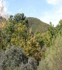 Las mejores ofertas de La Veniata San Pedro  de las Herrerias