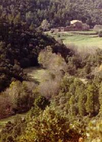 Las mejores ofertas de Mas Cals Fonteta