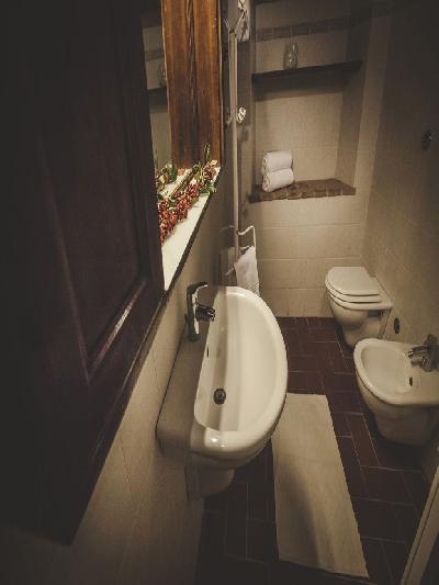 Las mejores ofertas de Zampugna Malva Siena