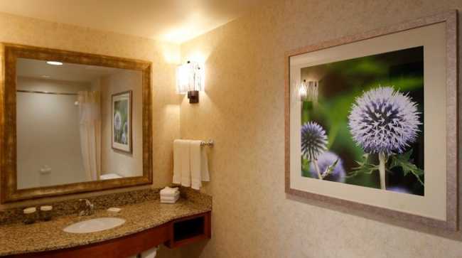 HILTON GARDEN INN CEDAR FALLS