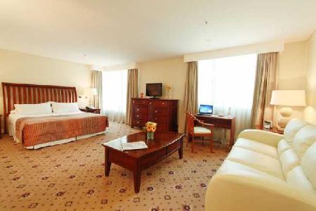 Las mejores ofertas de Torremayor Lyon Santiago