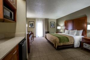 Las mejores ofertas de COMFORT INN SUITES AT DOLLYWOOD LANE Pigeon Forge 