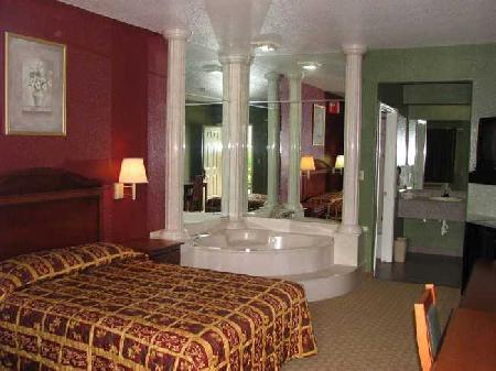 Las mejores ofertas de BUDGINN Houston