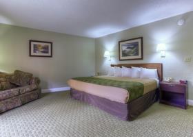 Las mejores ofertas de Econo Lodge Inn & Suites On The River Gatlinburg 