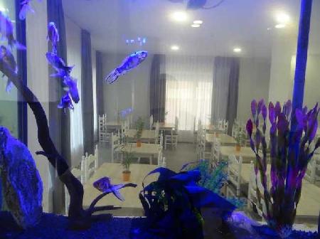 Las mejores ofertas de HOTEL VICTORIA - LLORET Lloret De Mar