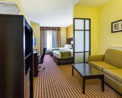 Las mejores ofertas de COMFORT SUITES Houston