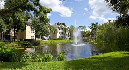 Las mejores ofertas de SHERATON VISTANA RESORT - DISNEY GOOD NEIGHBOR HOTEL Orlando 