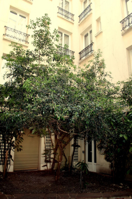 Las mejores ofertas de HÔTEL EIFFEL BLOMET Paris 