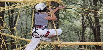 Las mejores ofertas de AAMOD RESORT - SHOGHI Shimla 