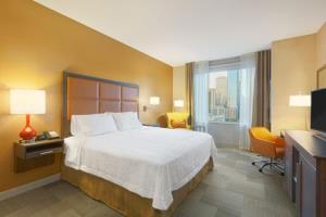 Las mejores ofertas de HAMPTON INN HOUSTON DOWNTOWN, TX Houston