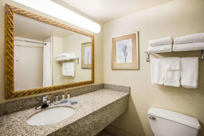 Las mejores ofertas de Wingate by Wyndham Galleria Atlanta 
