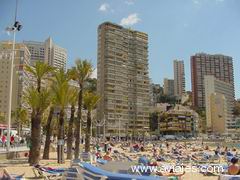 Las mejores ofertas de APTOS DON MIGUEL I Benidorm