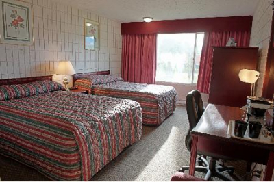 Las mejores ofertas de Sandman Hotel and Suites Red Deer - Standard Red Deer 