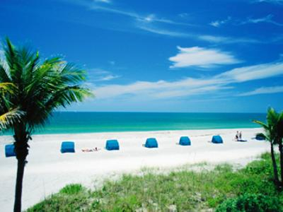 Las mejores ofertas de BEACHCOMBER BEACH RESORT Saint Petersburg 